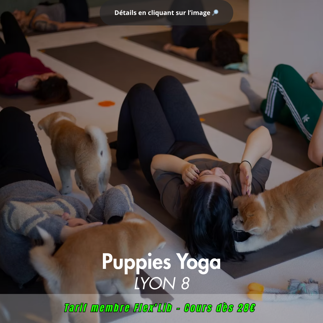 Détails en cliquant sur l’image 🔎_ (11)